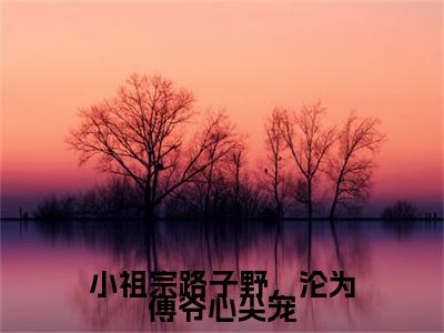 姜禾傅西沉是什么小说-（小祖宗路子野，沦为傅爷心尖宠全文阅读）最新章节列表