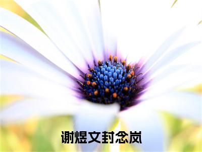 封念岚谢煜文免费小说，谢煜文封念岚全文免费阅读无弹窗大结局