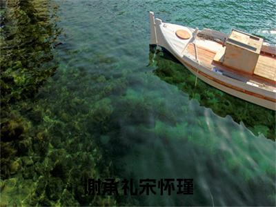 谢承礼宋怀瑾（宋怀瑾谢承礼）全文免费阅读大结局_谢承礼宋怀瑾最新章节列表_笔趣阁