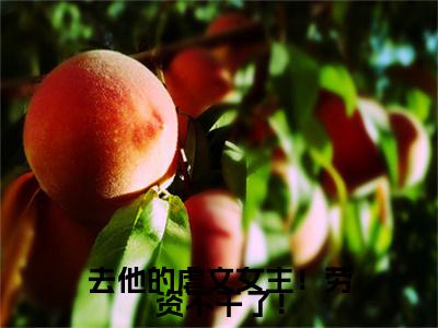 去他的虐文女主！劳资不干了！（秦羡知）全文免费阅读无弹窗大结局-去他的虐文女主！劳资不干了！免费阅读全文大结局-笔趣阁