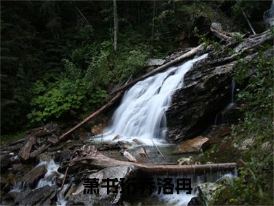 （乔洛冉萧书珩）全文免费阅读无弹窗大结局_萧书珩乔洛冉最新章节列表_笔趣阁