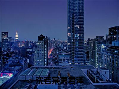 萧君泽沈若棠免费小说（沈若棠萧君泽）全文无弹窗阅读萧君泽沈若棠大结局免费阅读无弹窗