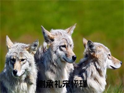 好书推荐小说谢承礼宋怀瑾（宋怀瑾谢承礼）-谢承礼宋怀瑾全文免费阅读大结局