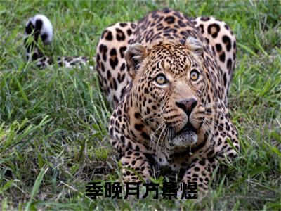 季晚月方景煜（方景煜季晚月小说）全文免费阅读无弹窗大结局_季晚月方景煜最新章节