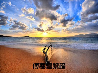 （后续）+（全文）（黎疏傅寒霆）傅寒霆黎疏精彩小说-黎疏傅寒霆全章节免费阅读