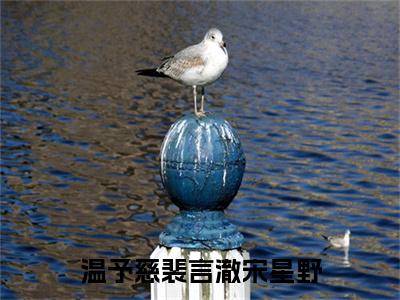 温予慈裴言澈宋星野（温予慈裴言澈宋星野）小说全文免费阅读正版无弹窗_温予慈裴言澈宋星野小说免费阅读全文无弹窗_笔趣阁