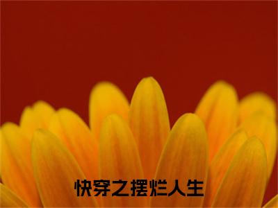 快穿之摆烂人生（舒玉）小说免费下载全本-快穿之摆烂人生（舒玉完整版）免费阅读无弹窗