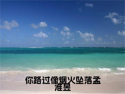 你路过像烟火坠落孟淮昱全文免费阅读大结局顾宁霜孟淮昱最新章节列表