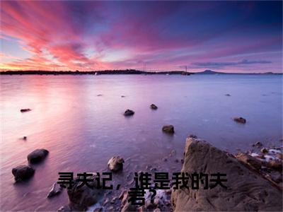 寻夫记，谁是我的夫君？阅读无弹窗大结局_（姜晨汐靳江陵阅读无弹窗）最新章节列表_笔趣阁（姜晨汐靳江陵）