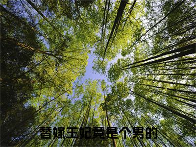 替嫁王妃竟是个男的小说（宁安）全文免费阅读无弹窗_替嫁王妃竟是个男的最新小说_笔趣阁（宁安）