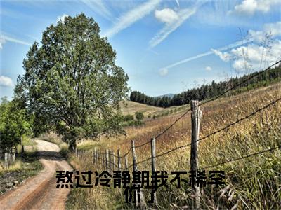 祁言川堂溪漫（熬过冷静期我不稀罕你了）在哪免费看-祁言川堂溪漫小说（熬过冷静期我不稀罕你了）全文完整版免费阅读