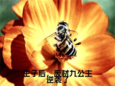 生子后，废材九公主逆袭了免费小说-生子后，废材九公主逆袭了完结版在线阅读