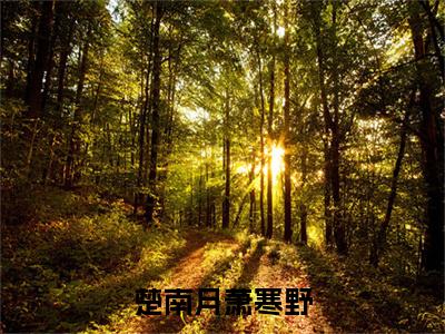 萧寒野楚南月（楚南月萧寒野最新全章节大结局）全文阅读-萧寒野楚南月楚南月萧寒野在线小说免费阅读