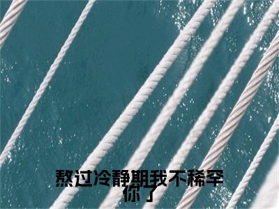 祁言川堂溪漫小说全文免费阅读大结局-熬过冷静期我不稀罕你了最新章节列表免费阅读