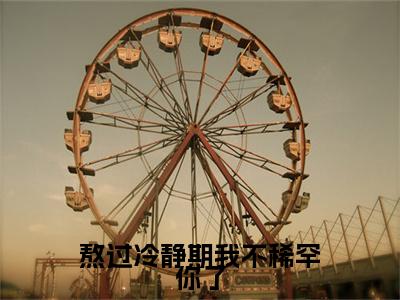 祁言川堂溪漫（熬过冷静期我不稀罕你了）全文免费阅读无弹窗大结局_（祁言川堂溪漫）熬过冷静期我不稀罕你了最新章节列表