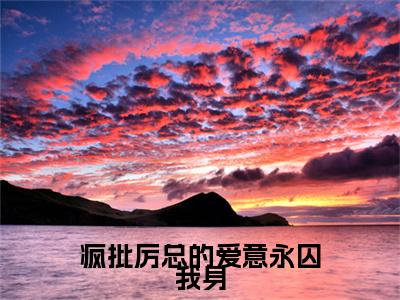 疯批厉总的爱意永囚我身小说全文（厉泽宇何汐乐）全文免费阅读无弹窗大结局_疯批厉总的爱意永囚我身小说全文最新章节列表
