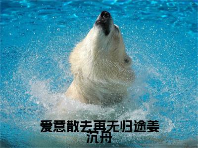 爱意散去再无归途姜沉舟（姜年姜沉舟）爽文小说全文阅读-爱意散去再无归途姜沉舟最新章节更新