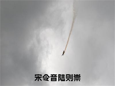 小说《宋令音陆则崇》全文免费阅读无弹窗-宋令音陆则崇小说全文在线赏析