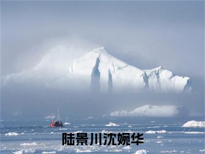 陆景川沈婉华（沈婉华陆景川）全文免费阅读无弹窗大结局_沈婉华陆景川无弹窗最新章节列表_笔趣阁