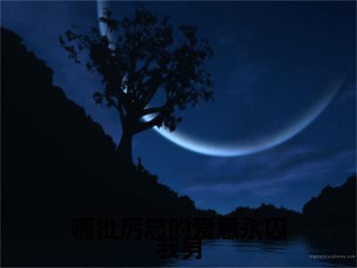 （厉泽宇何汐乐）疯批厉总的爱意永囚我身小说免费阅读-小说推荐疯批厉总的爱意永囚我身精彩章节在线阅读