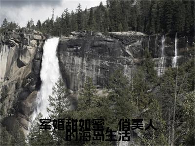 军婚甜如蜜，俏美人的海岛生活小说最新章节试读_陆婷沈凌阳是（军婚甜如蜜，俏美人的海岛生活）小说主角热门推荐_笔趣阁（陆婷沈凌阳）