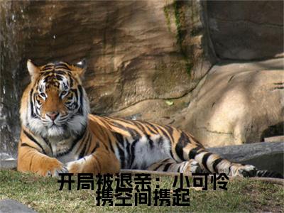 开局被退亲：小可怜携空间携起（苏婳萧锦寒）全文免费阅读无弹窗大结局_（苏婳萧锦寒）开局被退亲：小可怜携空间携起最新章节列表
