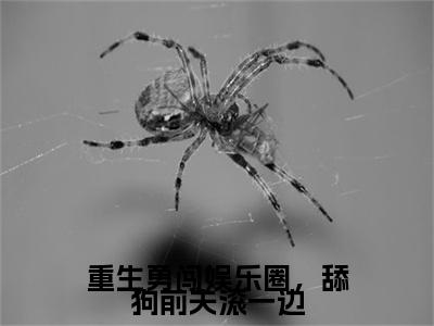陆乘渊夏青洛（重生勇闯娱乐圈，舔狗前夫滚一边小说）全文免费阅读无弹窗大结局_重生勇闯娱乐圈，舔狗前夫滚一边小说最新章节列表_笔趣阁（陆乘渊夏青洛）