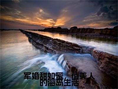 陆婷沈凌阳小说全文免费阅读（军婚甜如蜜，俏美人的海岛生活）全文免费阅读无弹窗_陆婷沈凌阳小说全文免费阅读_笔趣阁