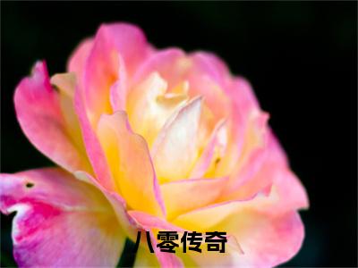 林辉（八零传奇）全文免费阅读无弹窗大结局_林辉小说精彩免费试读