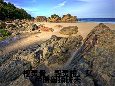 挖灵骨，毁灵根，女帝携兽捅破天（叶桑璃墨绝）全文免费阅读无弹窗大结局_（挖灵骨，毁灵根，女帝携兽捅破天）叶桑璃墨绝最新章节列表_笔趣阁