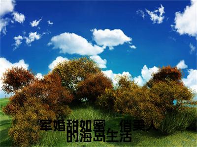 军婚甜如蜜，俏美人的海岛生活（陆婷沈凌阳）全文免费阅读_军婚甜如蜜，俏美人的海岛生活最新章节小说免费阅读_笔趣阁