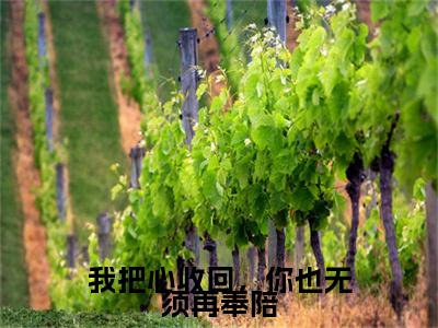 林轻轻傅行舟（我把心收回，你也无须再奉陪）最后结局如何-最火热点小说我把心收回，你也无须再奉陪最新更新