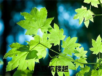 奚烟沈楼越（奚烟沈楼越）全文免费阅读无弹窗_奚烟沈楼越（奚烟沈楼越小说完整版）最新章节列表