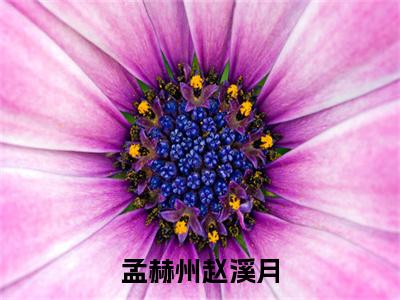 孟赫州赵溪月全文（孟赫州赵溪月）全文免费阅读无弹窗大结局_孟赫州赵溪月免费最新章节列表_笔趣阁（孟赫州赵溪月）