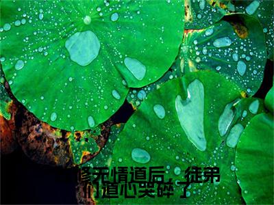 宁心赢江殊旨独家小说改修无情道后，徒弟们道心哭碎了-宁心赢江殊旨无删版小说推荐