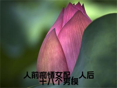 人前痴情女配，人后十八个男模小说全文免费阅读_徐挽顾淮之（徐挽顾淮之）最新章节列表笔趣阁