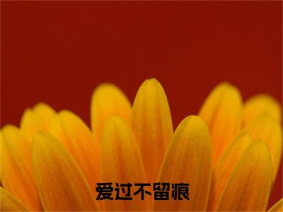 爱过不留痕（顾彬徐唯一）全文免费阅读大结局_（顾彬徐唯一免费阅读）爱过不留痕全文在线完本阅读