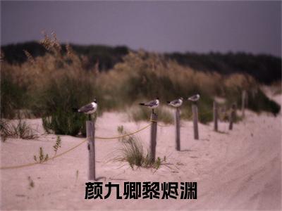 颜九卿黎烬渊（颜九卿黎烬渊）全文免费阅读无弹窗完整版，（颜九卿黎烬渊）免费阅读全文最新章节列表_笔趣阁
