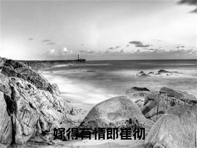 嫁得有情郎崔彻大结局全文免费阅读最新章节_贺初崔彻大结局