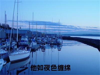 顾昭沈喻小说_小说他如夜色缠绵免费阅读最新章节列表（顾昭沈喻）笔趣阁