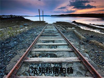 沈知秋傅柏杨全文免费阅读_沈知秋傅柏杨（傅柏杨沈知秋免费阅读无弹窗）傅柏杨沈知秋最新章节在线阅读笔趣阁