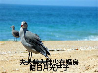 乔茵陆一函（夫人禁入陆少在婚房陪白月光产子）小说好看吗-乔茵陆一函最后结局如何（夫人禁入陆少在婚房陪白月光产子）小说无弹窗免费阅读