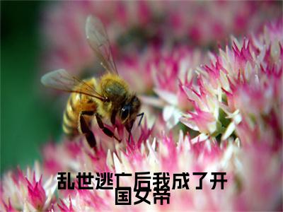 林知皇（乱世逃亡后我成了开国女帝）全文免费阅读无弹窗-乱世逃亡后我成了开国女帝完整版全文在线赏析