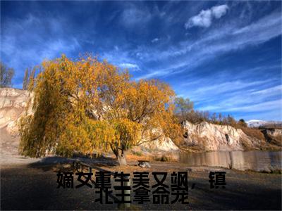 萧楚昀沈南枝（嫡女重生美又飒，镇北王拿命宠）小说好看吗-萧楚昀沈南枝最后结局如何（嫡女重生美又飒，镇北王拿命宠）小说无弹窗免费阅读