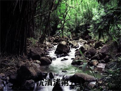 沈清浅第五寻小说（沈清浅第五寻）全文免费阅读-沈清浅第五寻精彩章节在线阅读