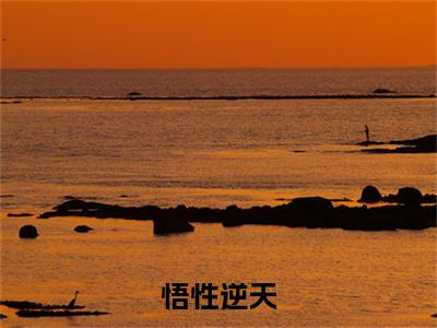 悟性逆天（苏勤）全文免费阅读无弹窗大结局_悟性逆天最新章节列表