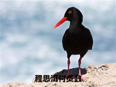 程思洱付炙政全文免费阅读无弹窗大结局_（付炙政程思洱）最新章节列表_笔趣阁（程思洱付炙政小说）