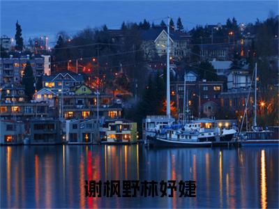 林妤婕谢枫野（谢枫野林妤婕）免费阅读无弹窗大结局-谢枫野林妤婕（最新全章节大结局）全文阅读