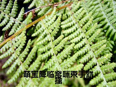 萌宝降临爹咪束手就擒小说全文-萌宝降临爹咪束手就擒（秦初初顾子辉）最新章节免费阅读