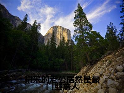 拼来的老公居然是豪门继承人在线阅读无弹窗_霍北辰沐宁曦最新章节列表_笔趣阁